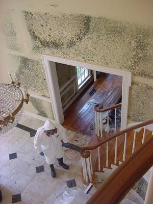 Mold throughout residential property's interior