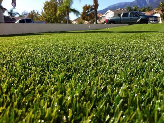 Gilding Series Artificial grass for front yard. It looks amazing!