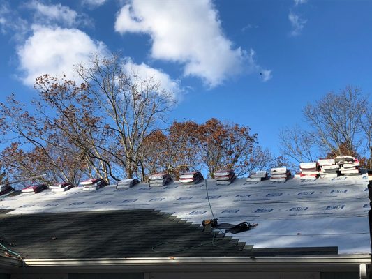 Shingle roof replacement