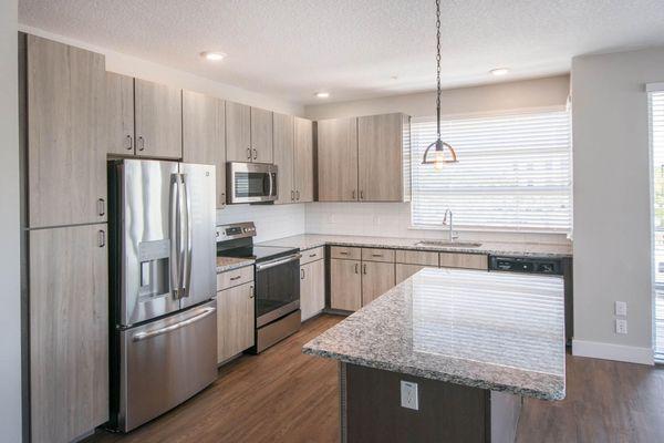 Luxurious Kitchen