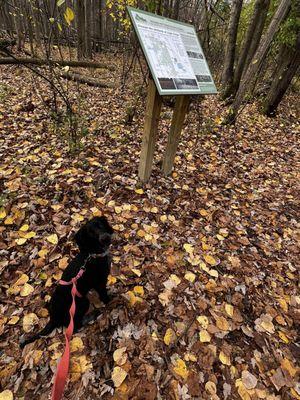 Stratford Woods Park