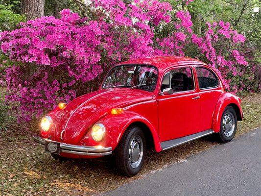 I love my car, and it looks like this thanks to the care it received at Allan's Automotive over the years.