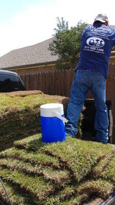 Laying Sod