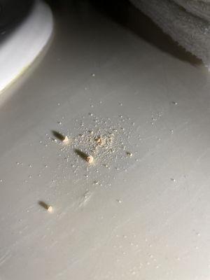 Remnants of a pill of some sort most likely being crushed...