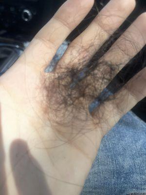 Took my hair out my bun after getting a fade and hair just started falling out. This not even all of it, just keep find more hair.