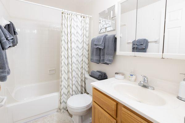 Full Bathroom at Ashmore Trace Apartments