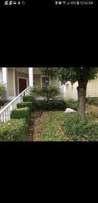 Before clean up sod and French drain