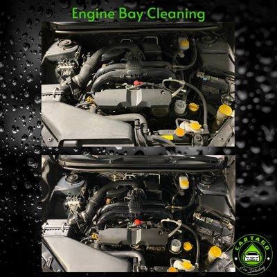 Engine Bay cleaning