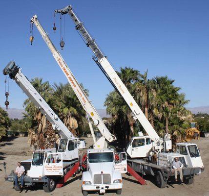 Cranes and Trees