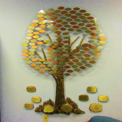 Donation tree