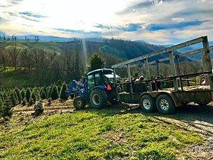 Take a hayride while you take in the beautiful panoramic view!