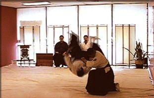 Aikido Plano Dojo