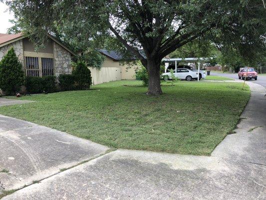 After mowed and edged  (Address 1)