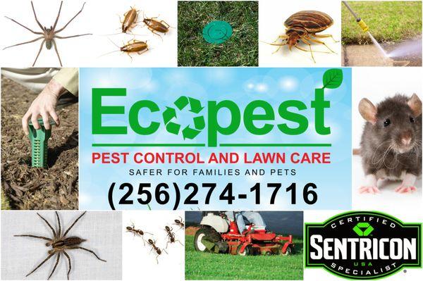 Ecopest Pest Control