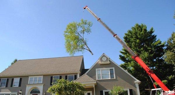 JB Tree Service