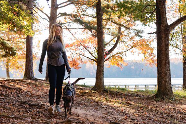 Walk the trails at Lake Anna State Park in Spotsylvania County, Virginia.