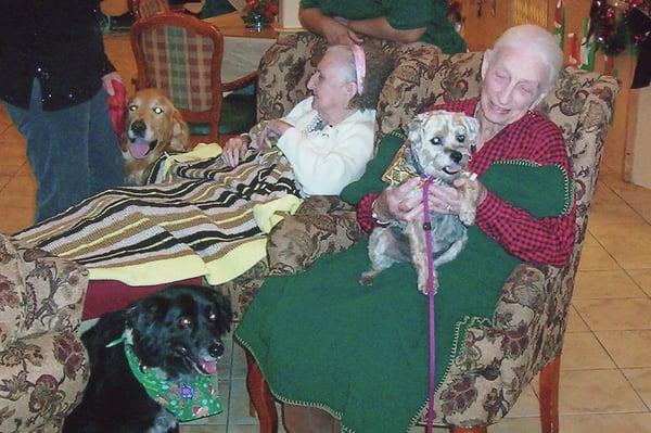 Brightening seniors lives with our volunteer therapy dogs