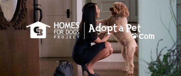 With Coldwell Banker, we have helped thousands of pets find new homes nationwide!