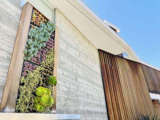 Pacific Vertical Gardens