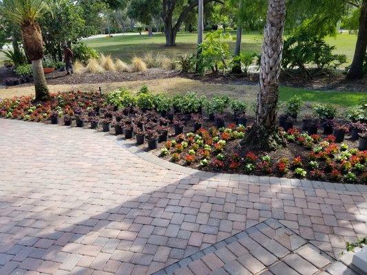 New landscape design and planting flowers