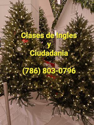 Clases de Ciudadania, Ingles y Tutoria. Con profesores certificados. Llamenos al (786) 803-0796.