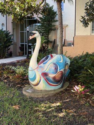 Swan in front of City Hall