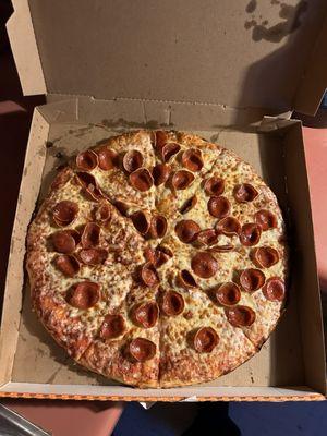 Looks like a normal pizza