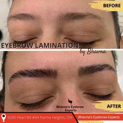 Eyebrow Lamination