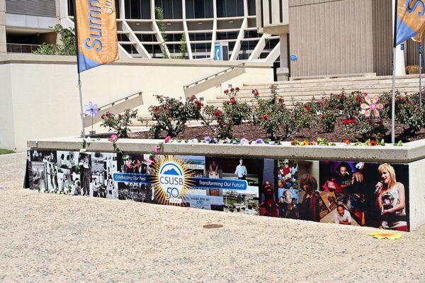 Planter wall wrap for CSUSB anniversary campaign.