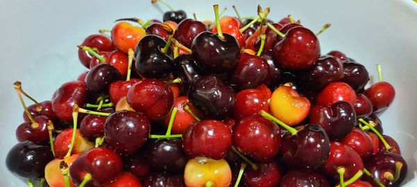 Basket of juicy cherries