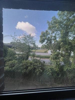 Next to a highway. View outside of window. Can hear cars all the time.