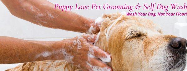 Puppy Love Pet Grooming & Self Dog Wash - Wash your dog, not your floor!