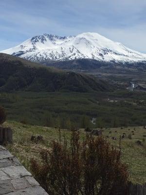 Viewpoint of amazing and stunning Mt.St. Helens