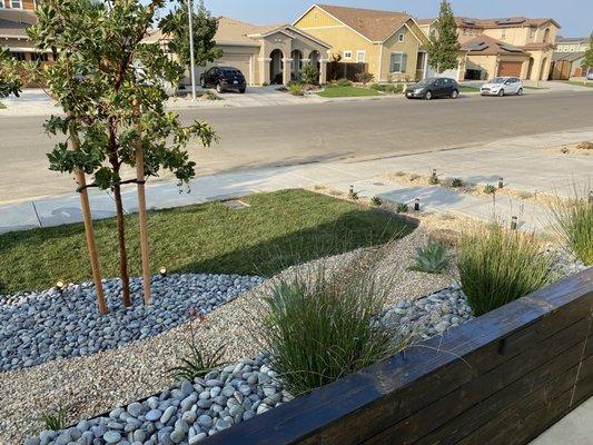 Ground cover elevation and layers. Install by Turf-N-Tree, Design by J&D Landscape Design