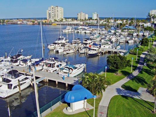 Hollywood Beach Marina