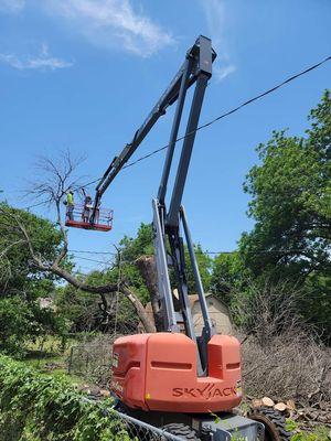 Tree removal of all sizes