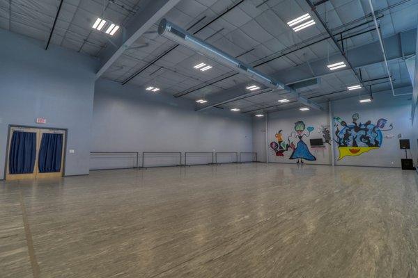 5 large studios with sprung floors