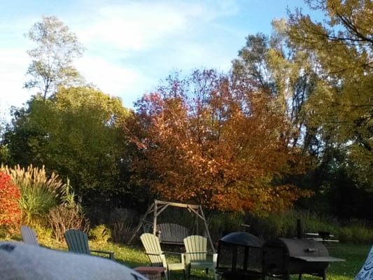 This is the wonderful backyard they provide. Grills and firepit, picnic tables. Gorgeous!!!