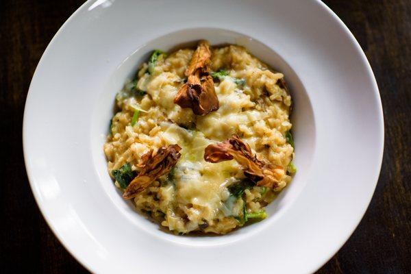 Wild Mushroom Risotto- Porcini, cremini and maitake mushrooms, baby kale, Parmigiano Reggiano.