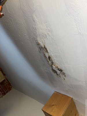 Black mold upstairs