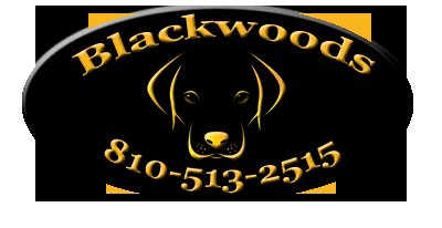 http://blackwoodslabradors.com/