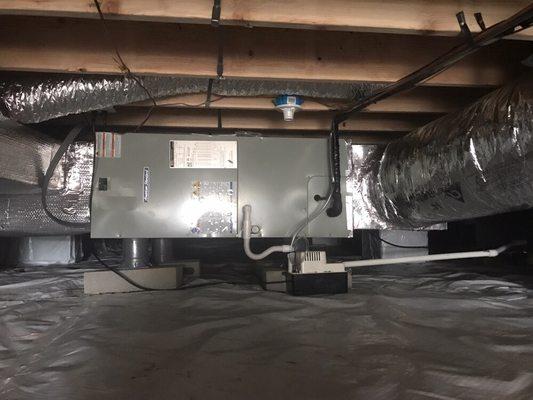 American Standard in conditioned crawl space