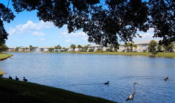 Waterside At Coquina Key Hoa