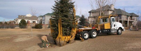 Jordan's Tree Moving & Maintenance Inc