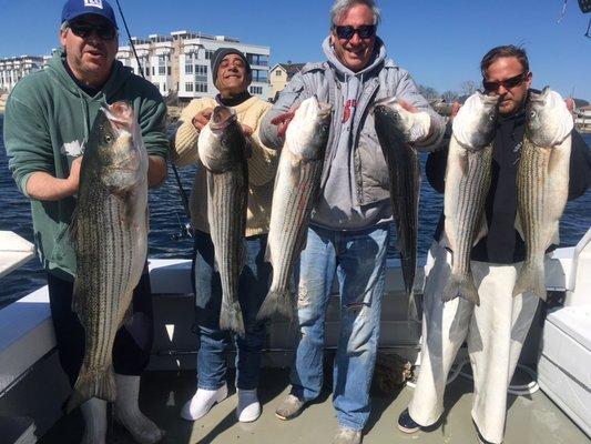 Striper limits on the No Time