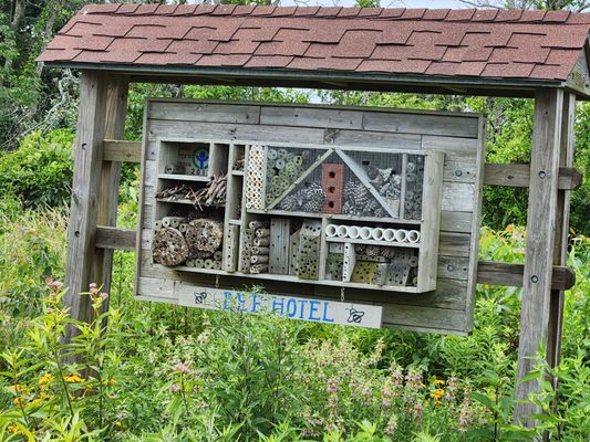 So cute a bee hotel. Zoom in.