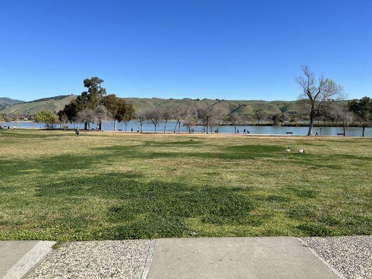 Another shot of the beautiful view and grass area