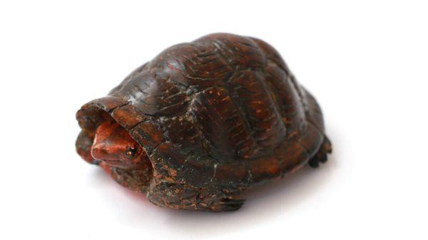 Wood carving of bog turtle.