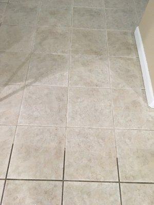 Tile cleaning