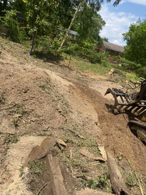 Removal of stump grindings and the last of the tree getting removed.